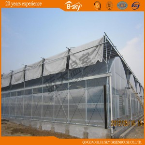 High Quality Film Green House for Planting Vegetables