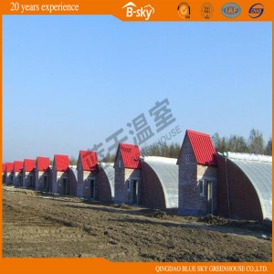 Solar Green House for Strawberry Growing China Supplier