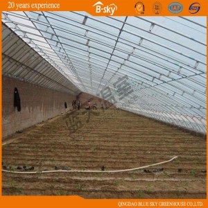 High Quality Solar Green House for Vegetable Planting