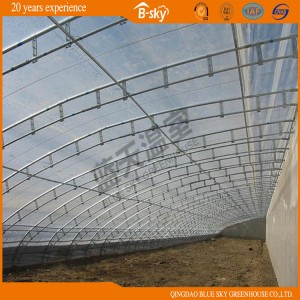 Solar Green House for Winter Use China Supplier