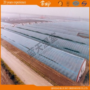 Extensive Use Solar Greenhouse for Winter Use