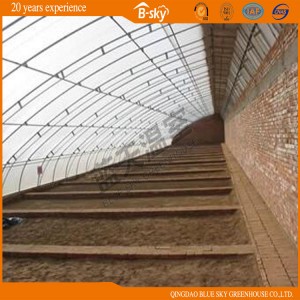 High Yield Film Solar Green House for Vegetable Planting