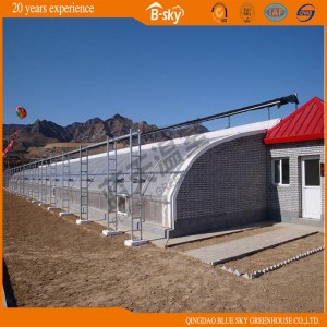 Low Cost Film Covered Solar Greenhouse for Planting Vegetables