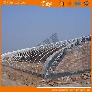 High Output Film Solar Green House for Vegetable Planting