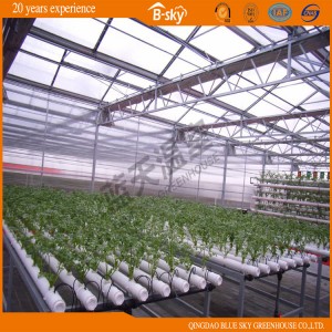 Dutch Technology Polycarbonate Sheet Multi-Span Green House