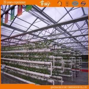 Netherlands Technology Polycarbonate Sheet Multi-Span Green House