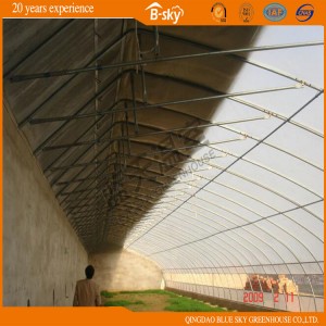 Low Cost Solar Green House for Vegetable Planting