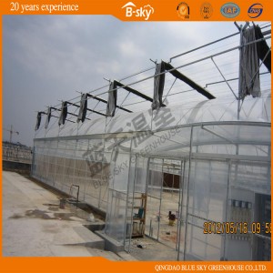 Gutter-Connect Greenhouse with High Cost Performance