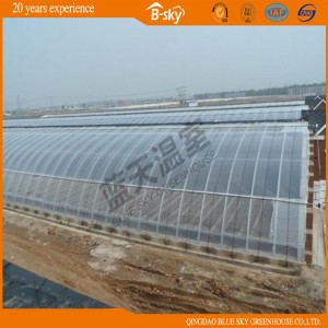 Extensive Use Solar Green House for Vegetable Planting