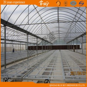 Extensively Used Polycarbonate Board Green House with Film Roof
