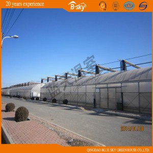High Cost Perfromance Gutter-Connect Greenhouse