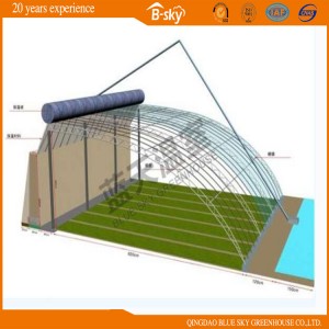 Widely Used Plastic Film Solar Greenhouse for Vegetable Planting