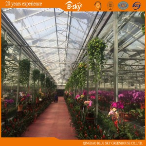 Widely Used Agricultrual Planting Glass Green House