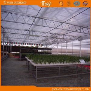 PC Board Greenhouse Venlo Structure for Vegetable Planting