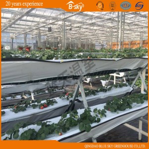 China Supplier Durable Glass Green House