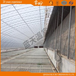 Hot Sale Solar Greenhouse for Vegetable Planting