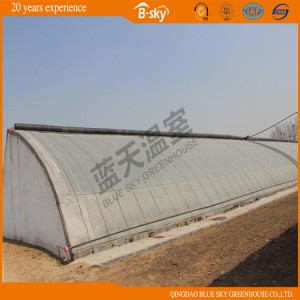 Solar Green House for Strawberry Growing