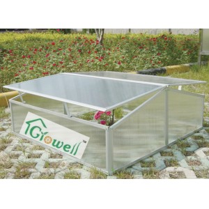 Cold Frame Greenhouse for Young Plants Growing (C302)