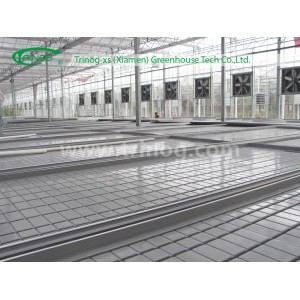 Glass Greenhouse for Ebb and Flow