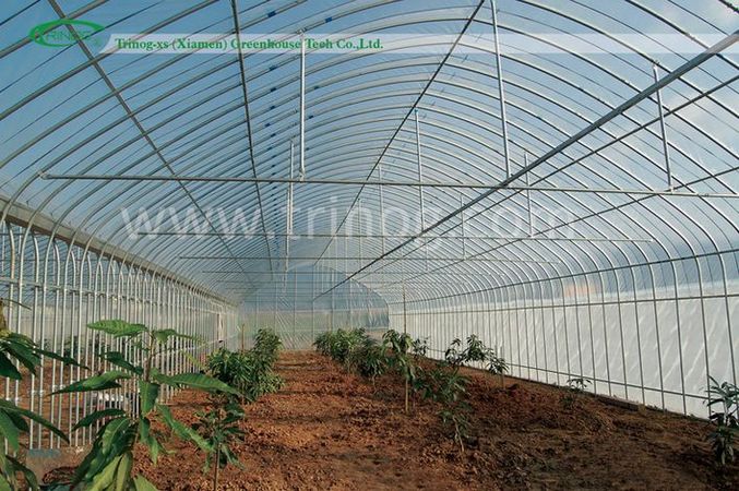 Agricultural Greenhouse for Crops