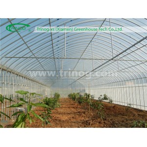 Agricultural Greenhouse for Crops