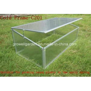Cold Frame Greenhouse for Young Plants Growing (C201)