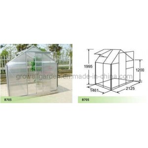 Hobby Greenhouse for Plants and Flowers (B705)