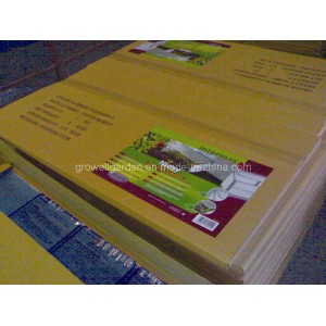 Flat Carton Packing for Cold Frame for Greenhouse