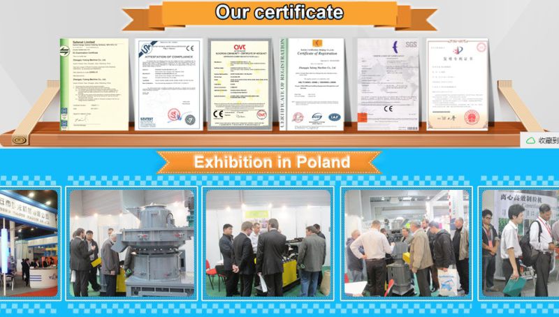 Hkj250 Ring Die Animal Feed Machinery