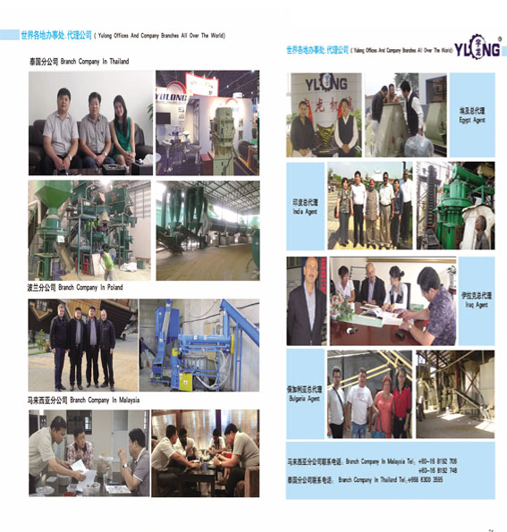 Hkj250 Ring Die Animal Feed Machinery