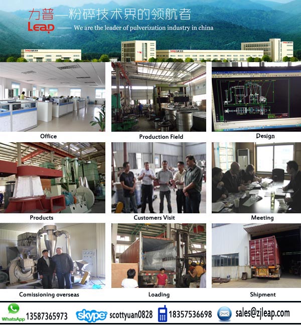 CE Certificated Mung Bean / Green Bean Grinder / Disintegrator /Pulverizer