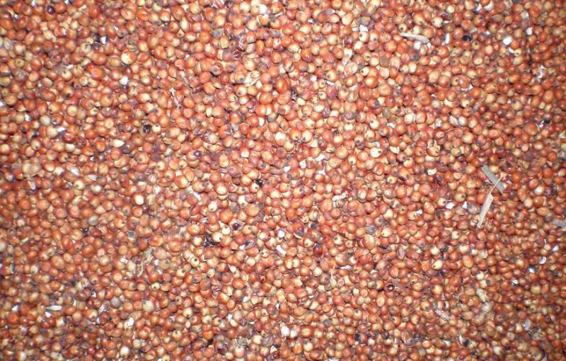 Feed Pellet/Granulator Processing Machinery Grinding Mill Crusher