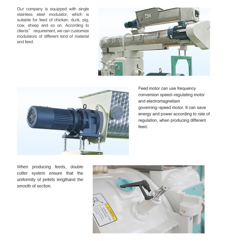 Szlhm Series Straw Granulate Machine