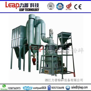 Ce Certificated Super Fine Gcc (CaCO3) Powder Pellet Mill