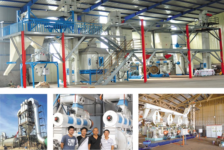 High Capacity Complete Wood Pellet Mill Production Line