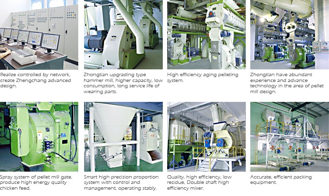 Animal Feed Machine/Griding /Automatic Hammer Mill Feed Grinder