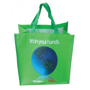 Non Woven Vegetable Bag, Reusable Shopping Bags (13032102)