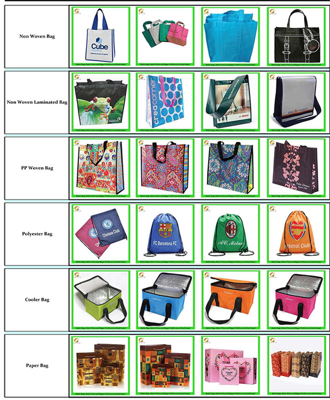 Non Woven Vegetable Bag, Reusable Shopping Bags (13032102)