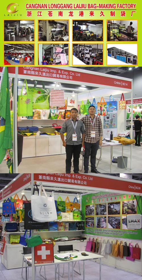 Non Woven Vegetable Bag, Reusable Shopping Bags (13032102)