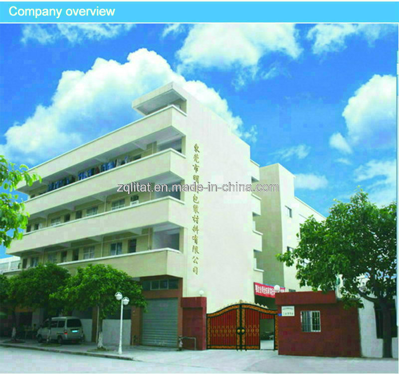 Flexible Stand up Plastic Packaging Fruit Bag with Zipper