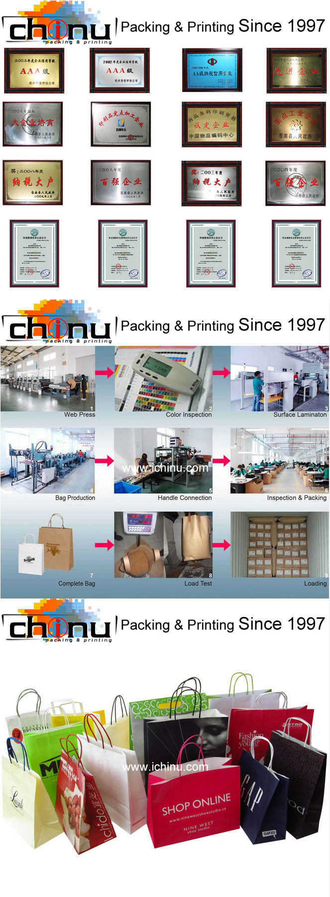 Chinese Factory OEM Production Customized Paper Bag (220073)