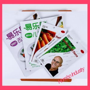 Customized Three Edge-Sealing Bags Plastic Food Packaging Bags