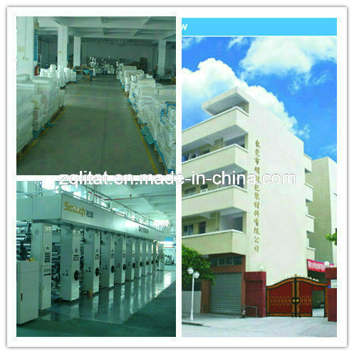 Custom Stand up Aluminum Foil Zipper Packaging Bag for Nut