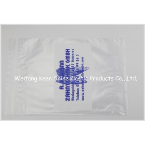 Printed PE Plastic Bag Zip Lock Bag