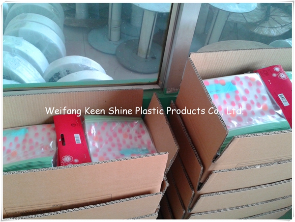 Different Size Customed Print Zip Lock Plastic Bag