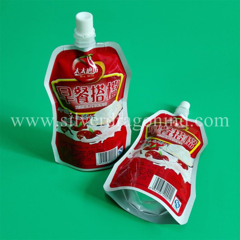 Stand up Spout Pouch for Washing Liquid Packaging