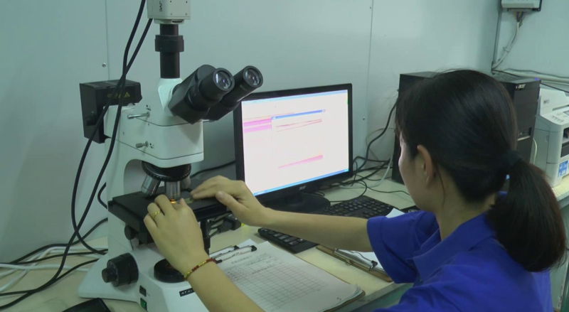 PA PE Food Packaging Vacuum Bag