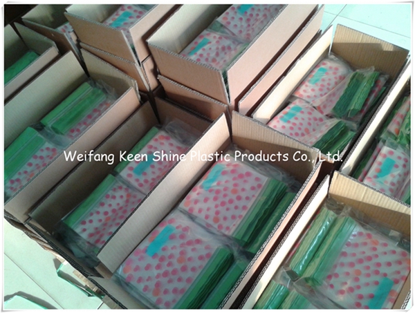 Different Size Customed Print Zip Lock Plastic Bag