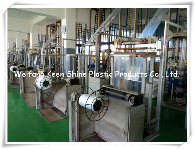 Zipper Bag, Zip Lock Bag, Clear with Customized Printing