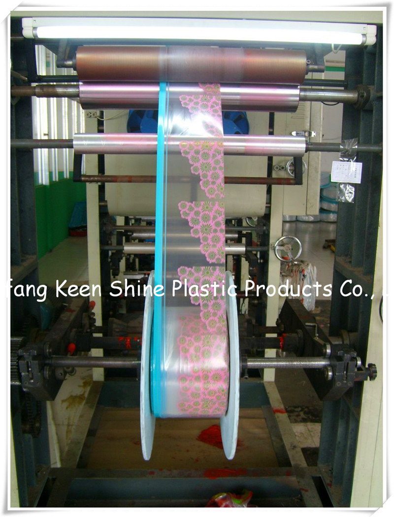 Custom Printed Plastic Zip Lock Packaging Bag